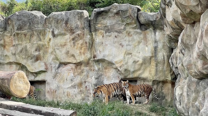 Clark Safari and Adventure Park