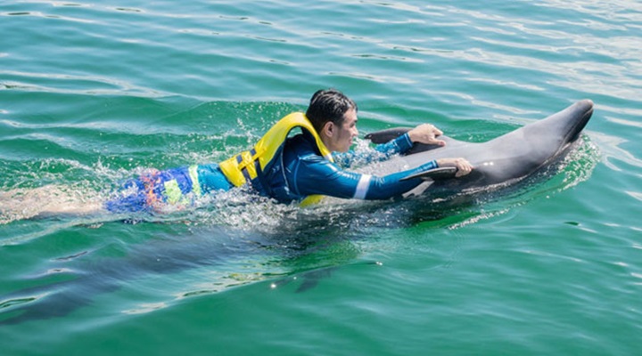 Ocean Adventure