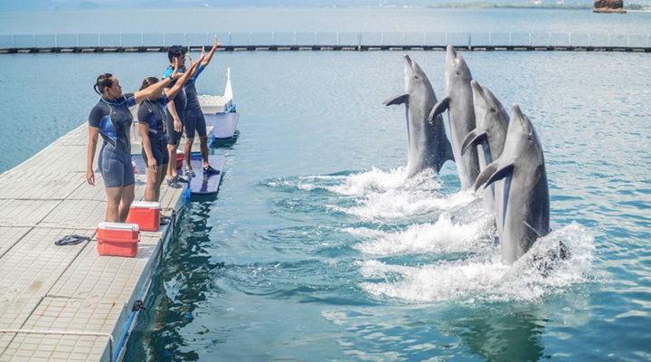 Ocean Adventure