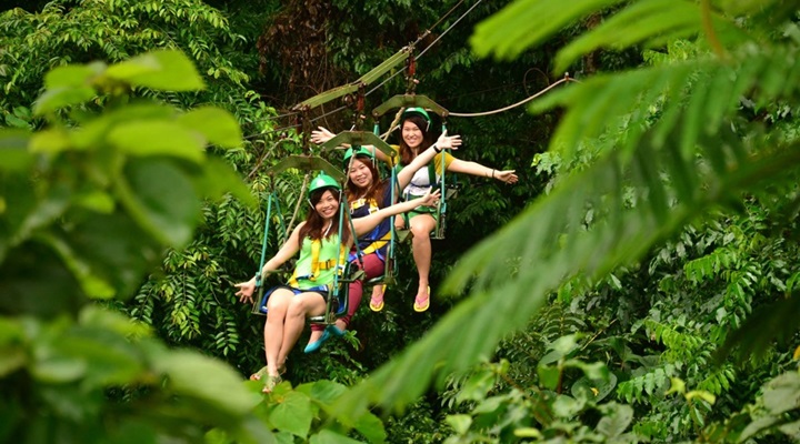 Tree Top Adventure Subic