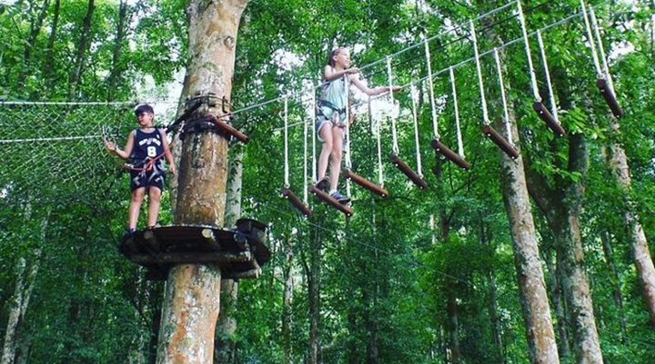 Tree Top Adventure Subic