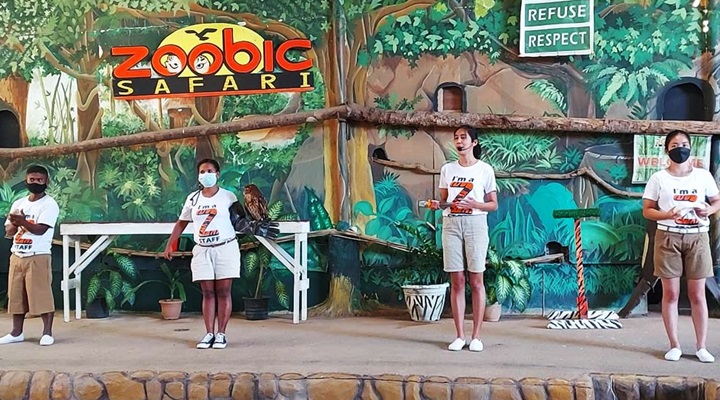 Zoobic Safari